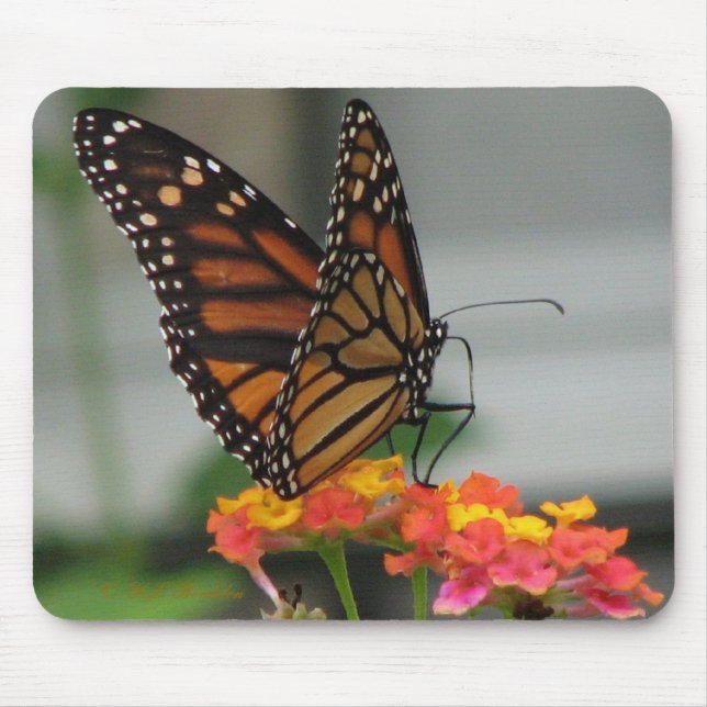 Monarch on Lantana Mousepad (Front)