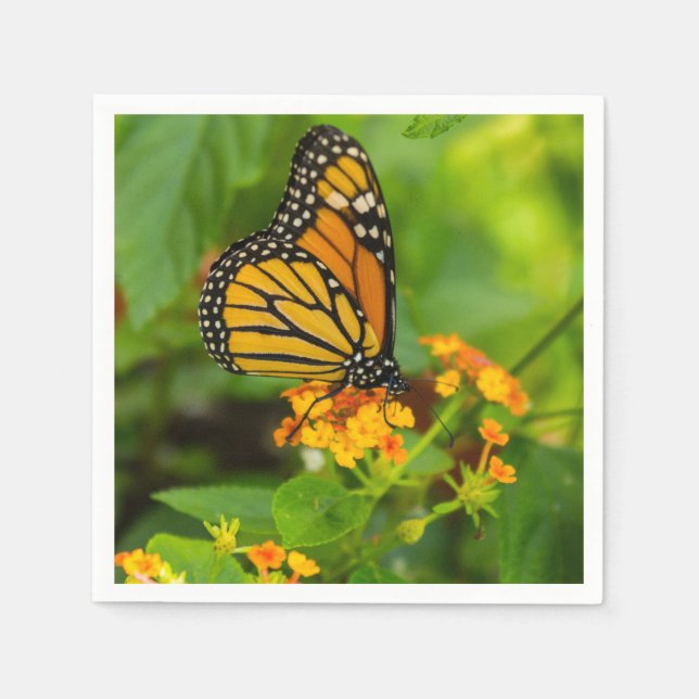 Monarch On Lantana Napkin (Front)