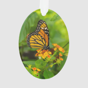 Monarch On Lantana Ornament