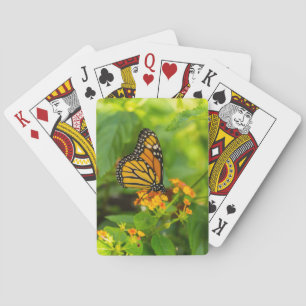 Monarch On Lantana Playing Cards