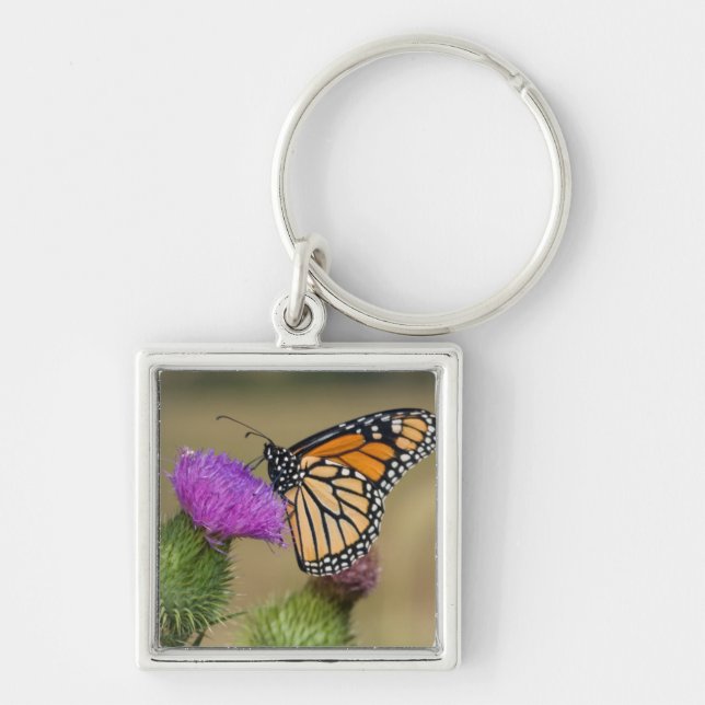 Monarch on pasture Thistle Prairie Ridge Key Ring (Front)