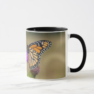 Monarch on pasture Thistle Prairie Ridge Mug
