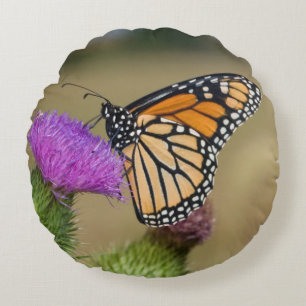 Monarch on pasture Thistle Prairie Ridge Round Cushion