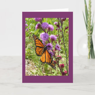 Monarch on Prairie Gayfeather Blank Note Card