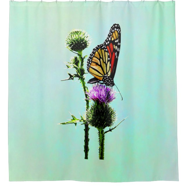 Monarch on Thistle Shower Curtain (Front)
