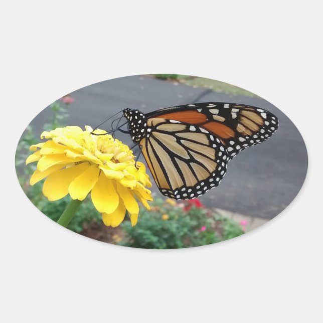 Monarch on Yellow Zinnia Oval Sticker (Front)