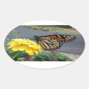 Monarch on Yellow Zinnia Oval Sticker
