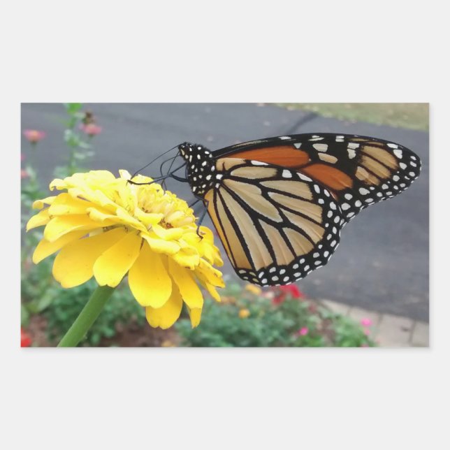 Monarch on Yellow Zinnia Rectangular Sticker (Front)