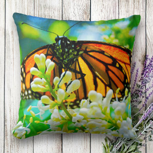 Monarch orange butterfly photo white flower bold cushion