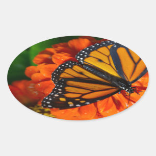 Monarch Oval Sticker