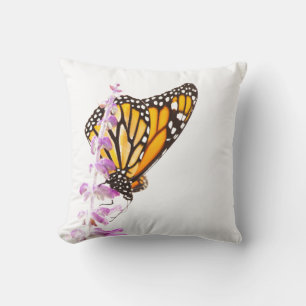 Monarch perched on lavender cushion