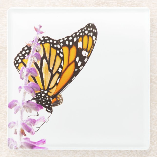 Monarch perched on lavender glass coaster (Front)