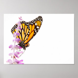 Monarch perched on lavender poster