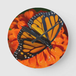 Monarch Round Clock
