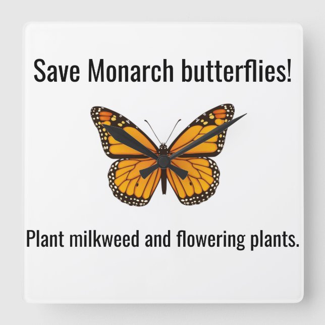 Monarch Square Wall Clock (Front)