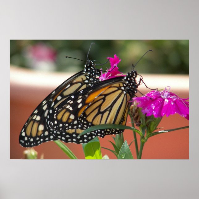 Monarch Twins #1-poster Poster (Front)