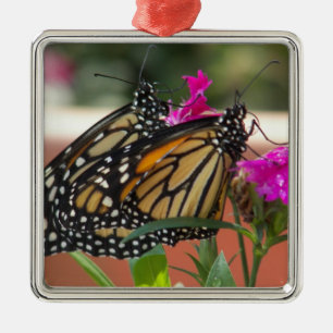 Monarch Twins #1-premium square ornament