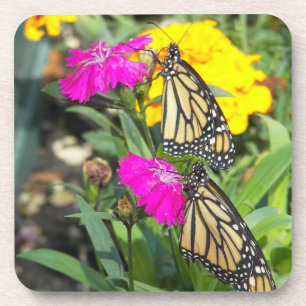 Monarch twins#2-cork coaster