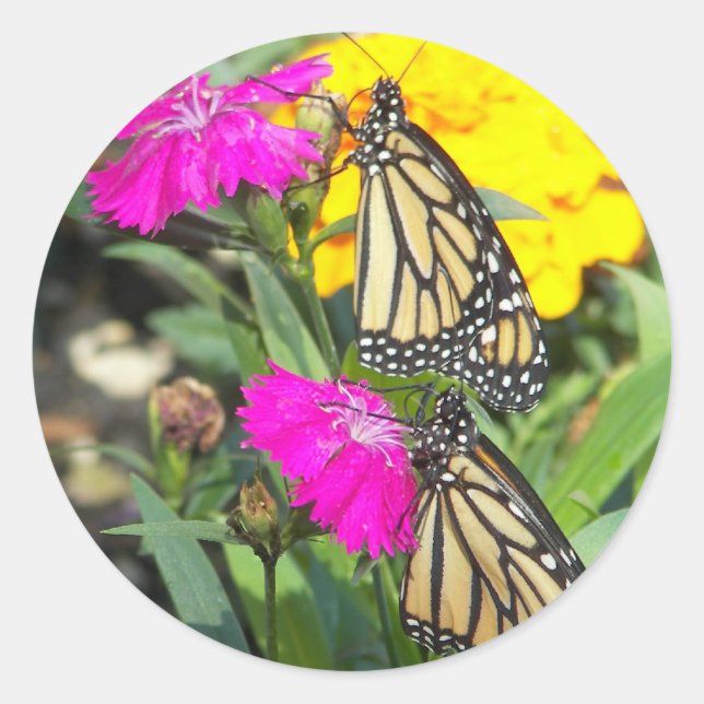 Monarch Twins #2-sticker Classic Round Sticker (Front)