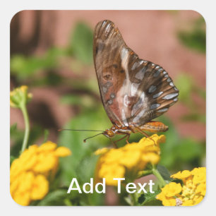 Monarch Wings - Dog and Butterfly Stickers