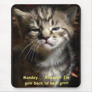 monday cat mouse mat