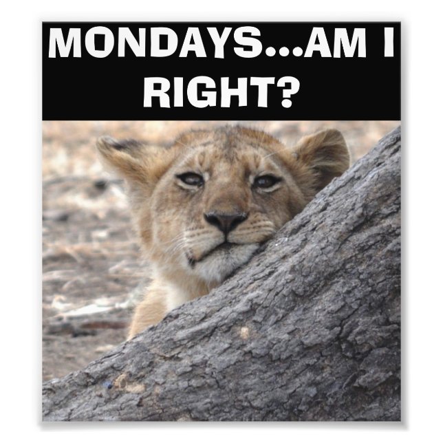 Mondays--Am I Right Poster (Front)