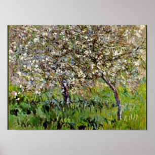 Monet - Apple Trees in Bloom Poster