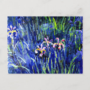 Monet - Irises Postcard
