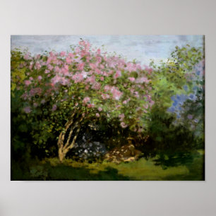 Monet - Lilacs in the Sun Poster
