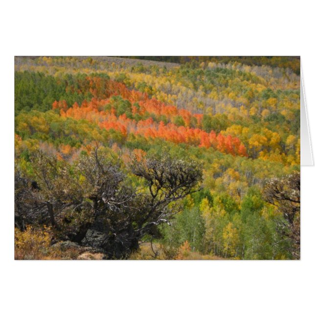 Monet Moment (Front Horizontal)