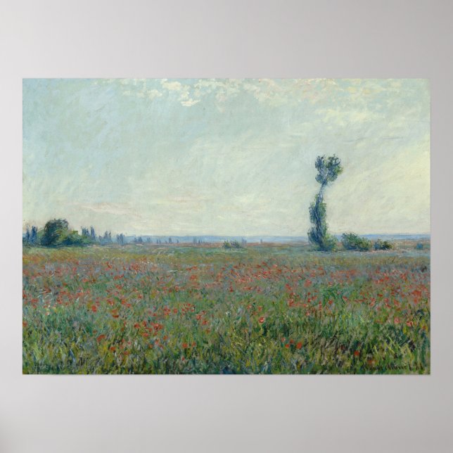 Monet - Poppy Field Poster (Front)