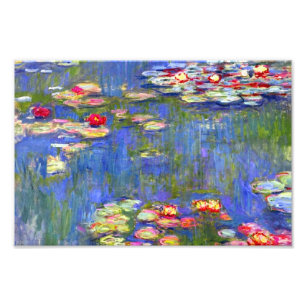 Monet Water Lilies 1916 Photo Print