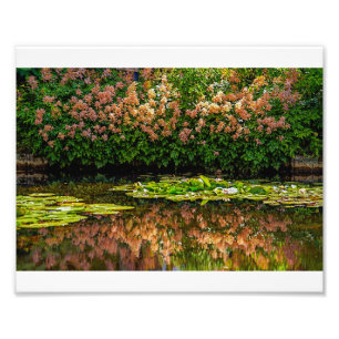 Monet's Water Lilies Photo Print