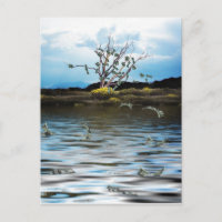 Money Tree on a Windy Day