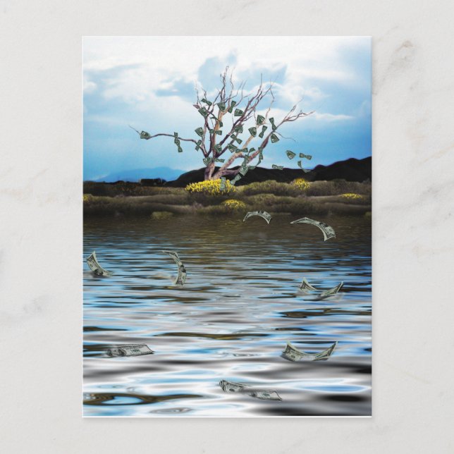 Money Tree on a Windy Day Postcard (Front)