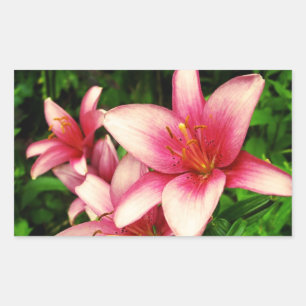 Moneymaker Lily Rectangular Sticker