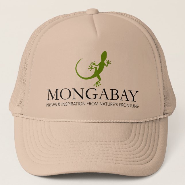 Mongabay Lizard Hat (Front)