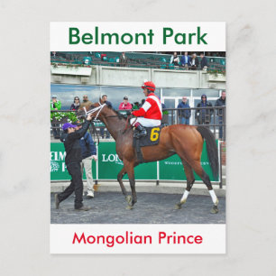 Mongolian Prince Postcard