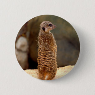 Mongoose10 6 Cm Round Badge