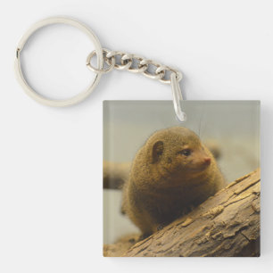 Mongoose a Tree Branch Key Ring