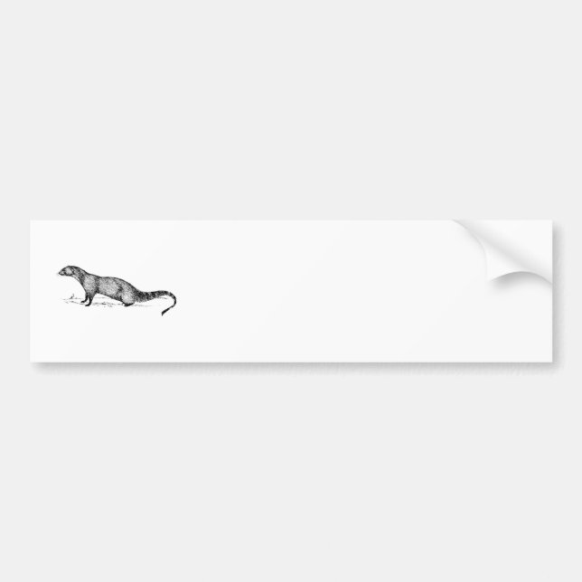 Mongoose Bumper Sticker (Front)