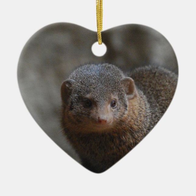 Mongoose Ornament (Front)