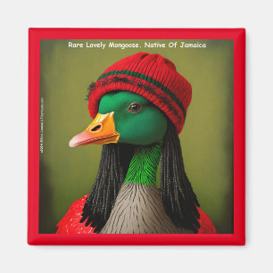 Mongoose Reggae Good From Jamaica Hilarious Magnet