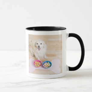 mongrel sitting in front of two bowls with dog mug