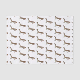 Monitor lizard cartoon illustration  tissue paper