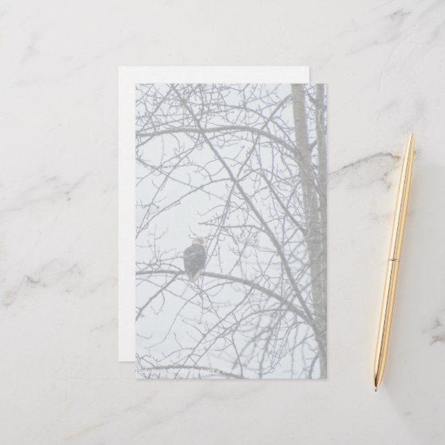 Monitoring (Front/Back In Situ)