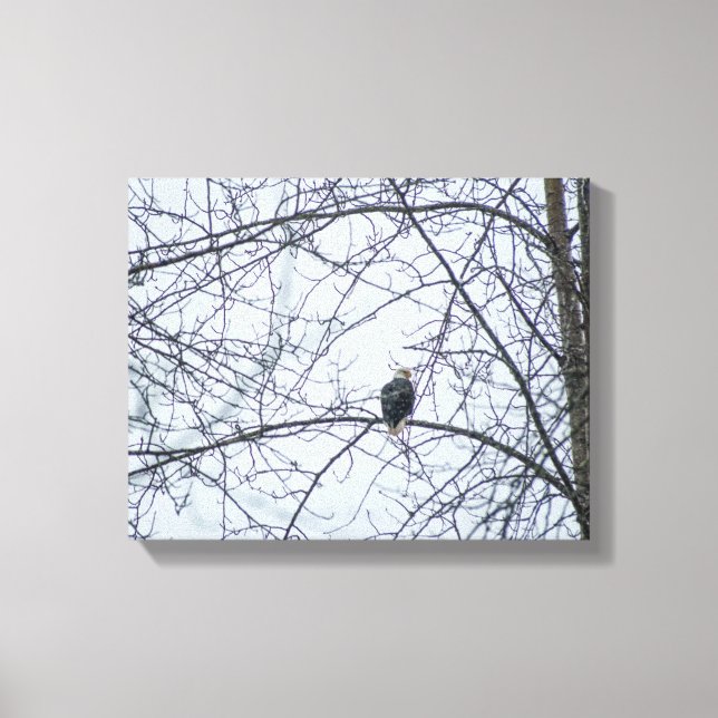 Monitoring Canvas Print (Front)