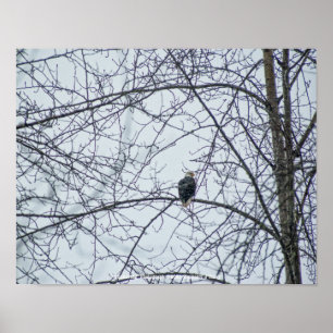 Monitoring Poster