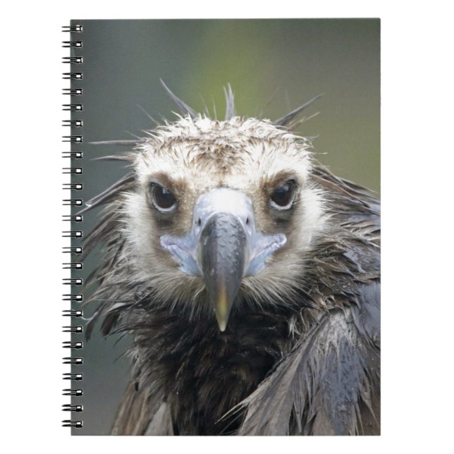 monk notebook (Front)