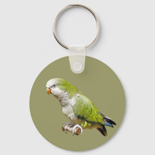 Monk Parakeet Key Ring
